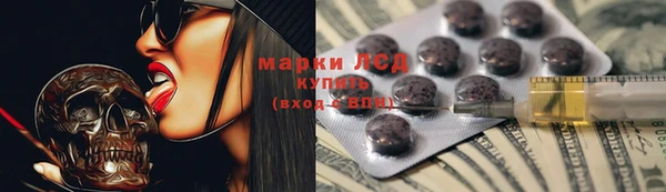mdpv Вяземский