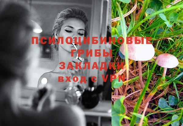 mdpv Вяземский