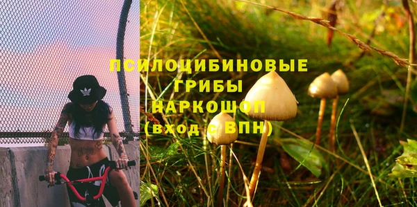 хмурый Вязники